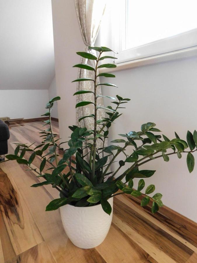 Apartman Lara Otočac Buitenkant foto
